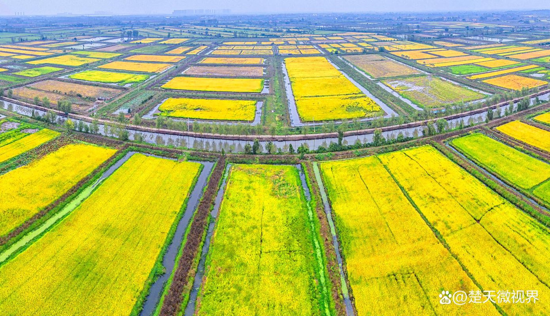 花邻鲜花